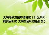 大病導(dǎo)致貧困申請(qǐng)補(bǔ)助（什么叫大病貧困補(bǔ)助 大病貧困補(bǔ)助是什么）
