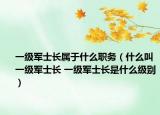 一級軍士長屬于什么職務(wù)（什么叫一級軍士長 一級軍士長是什么級別）