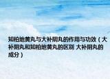 知柏地黃丸與大補陰丸的作用與功效（大補陰丸和知柏地黃丸的區(qū)別 大補陰丸的成分）