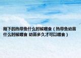 剛下的熱帶魚(yú)什么時(shí)候喂食（熱帶魚(yú)幼苗什么時(shí)候喂食 幼苗多久才可以喂食）