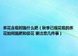茶花含苞時(shí)施什么肥（秋季已現(xiàn)花苞的茶花如何施肥和促花 要注意幾件事）