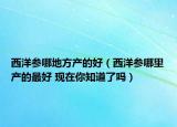 西洋參哪地方產(chǎn)的好（西洋參哪里產(chǎn)的最好 現(xiàn)在你知道了嗎）