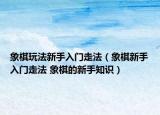 象棋玩法新手入門(mén)走法（象棋新手入門(mén)走法 象棋的新手知識(shí)）