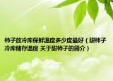 柿子放冷庫保鮮溫度多少度最好（甜柿子冷庫儲存溫度 關于甜柿子的簡介）