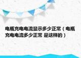 電瓶充電電流顯示多少正常（電瓶充電電流多少正常 是這樣的）