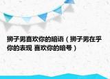 獅子男喜歡你的暗語（獅子男在乎你的表現(xiàn) 喜歡你的暗號）