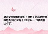 男雞女鼠婚姻相配嗎卜易居（男雞女鼠婚姻是否相配 這兩個生肖的人一定要看看這個了）
