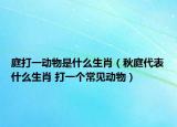 庭打一動物是什么生肖（秋庭代表什么生肖 打一個常見動物）