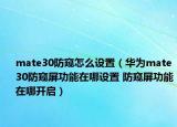mate30防窺怎么設(shè)置（華為mate30防窺屏功能在哪設(shè)置 防窺屏功能在哪開啟）
