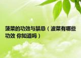 菠菜的功效與禁忌（波菜有哪些功效 你知道嗎）