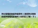 種過草莓的地能種蔬菜嗎（請間種過辣椒的地種草莓有影響嗎 大家可以了解一下）