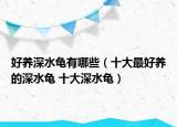 好養(yǎng)深水龜有哪些（十大最好養(yǎng)的深水龜 十大深水龜）