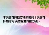 木芙蓉花扦插方法和時(shí)間（芙蓉花扦插時(shí)間 芙蓉花的扦插方法）