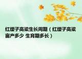 紅纓子高粱生長周期（紅纓子高粱畝產(chǎn)多少 生育期多長）