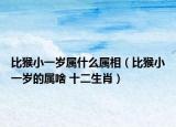 比猴小一歲屬什么屬相（比猴小一歲的屬啥 十二生肖）