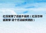 紅苕發(fā)芽了還能不能吃（紅苕怎樣能發(fā)芽 這個方法超快速的）