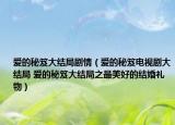 愛的秘笈大結(jié)局劇情（愛的秘笈電視劇大結(jié)局 愛的秘笈大結(jié)局之最美好的結(jié)婚禮物）