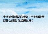 十字韌帶斷裂的感覺（十字韌帶斷裂什么感覺 你經歷過嗎）