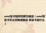 amd顯卡如何切換為獨顯（amd雙顯卡怎么切換成獨顯 雙顯卡是什么）