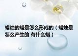 蠟燭的蠟是怎么形成的（蠟燭是怎么產(chǎn)生的 有什么蠟）