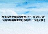 夢(mèng)見拉大便在褲衩里好不好（夢(mèng)見自己把大便拉到褲衩里面好不好呀 什么是大便）