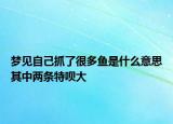 夢見自己抓了很多魚是什么意思其中兩條特唄大