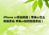 iPhone xr系統(tǒng)降級（蘋果xr怎么降級系統(tǒng) 蘋果xr如何降級系統(tǒng)）