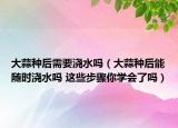 大蒜種后需要澆水嗎（大蒜種后能隨時(shí)澆水嗎 這些步驟你學(xué)會(huì)了嗎）