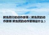 鱷魚爬行的動作要領(lǐng)（鱷魚爬的動作要領(lǐng) 鱷魚爬的動作要領(lǐng)是什么）