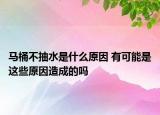 馬桶不抽水是什么原因 有可能是這些原因造成的嗎