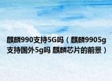 麒麟990支持5G嗎（麒麟9905g支持國(guó)外5g嗎 麒麟芯片的前景）