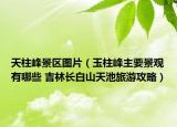 天柱峰景區(qū)圖片（玉柱峰主要景觀有哪些 吉林長白山天池旅游攻略）