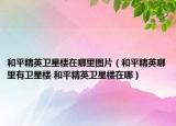 和平精英衛(wèi)星樓在哪里圖片（和平精英哪里有衛(wèi)星樓 和平精英衛(wèi)星樓在哪）