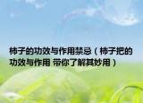 柿子的功效與作用禁忌（柿子把的功效與作用 帶你了解其妙用）