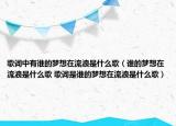 歌詞中有誰的夢想在流浪是什么歌（誰的夢想在流浪是什么歌 歌詞是誰的夢想在流浪是什么歌）