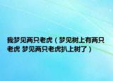 我夢(mèng)見(jiàn)兩只老虎（夢(mèng)見(jiàn)樹(shù)上有兩只老虎 夢(mèng)見(jiàn)兩只老虎扒上樹(shù)了）