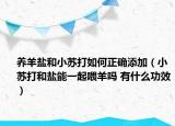 養(yǎng)羊鹽和小蘇打如何正確添加（小蘇打和鹽能一起喂羊嗎 有什么功效）