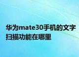 華為mate30手機(jī)的文字掃描功能在哪里