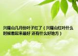 興隆山幾月份葉子紅了（興隆山紅葉什么時(shí)候看起來最好 還有什么好地方）