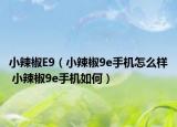 小辣椒E9（小辣椒9e手機(jī)怎么樣 小辣椒9e手機(jī)如何）