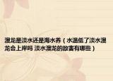 澳龍是淡水還是海水養(yǎng)（水溫低了淡水澳龍會上岸嗎 淡水澳龍的敵害有哪些）