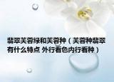翡翠芙蓉綠和芙蓉種（芙蓉種翡翠有什么特點(diǎn) 外行看色內(nèi)行看種）