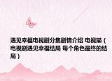 遇見(jiàn)幸福電視劇分集劇情介紹 電視貓（電視劇遇見(jiàn)幸福結(jié)局 每個(gè)角色最終的結(jié)局）