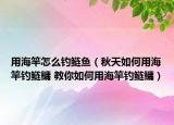 用海竿怎么釣鰱魚（秋天如何用海竿釣鰱鳙 教你如何用海竿釣鰱鳙）