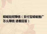 蜻蜓如何賺錢（支付寶蜻蜓推廣怎么賺錢 請看回答）