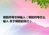 鋼筋符號(hào)怎樣輸入（鋼筋符號(hào)怎么輸入 關(guān)于鋼筋的簡(jiǎn)介）