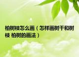 柏樹(shù)枝怎么畫(huà)（怎樣畫(huà)樹(shù)干和樹(shù)枝 柏樹(shù)的畫(huà)法）