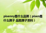 pisenny是什么品牌（pisen是什么牌子 品勝牌子資料）