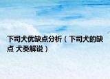 下司犬優(yōu)缺點分析（下司犬的缺點 犬類解說）