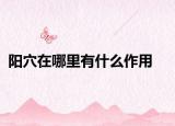陽穴在哪里有什么作用